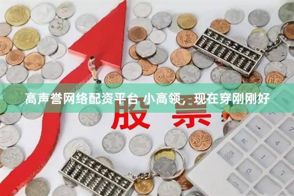 高声誉网络配资平台 小高领，现在穿刚刚好